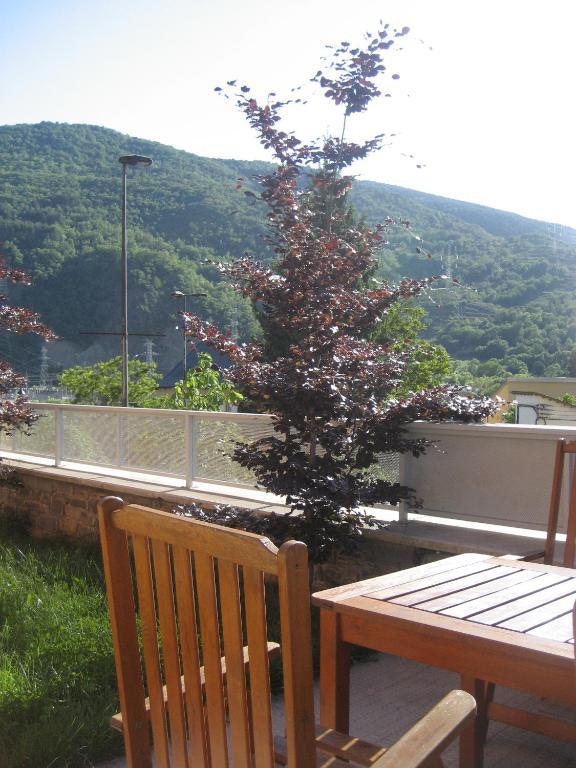 La Faiada Leilighet El Pont de Suert Rom bilde