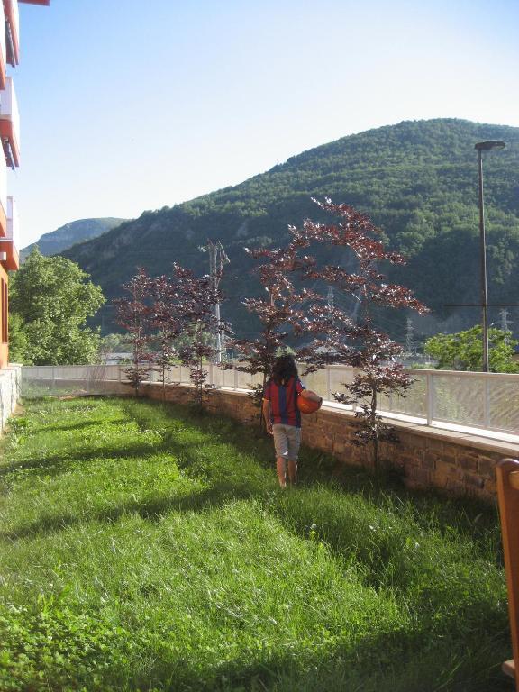 La Faiada Leilighet El Pont de Suert Rom bilde